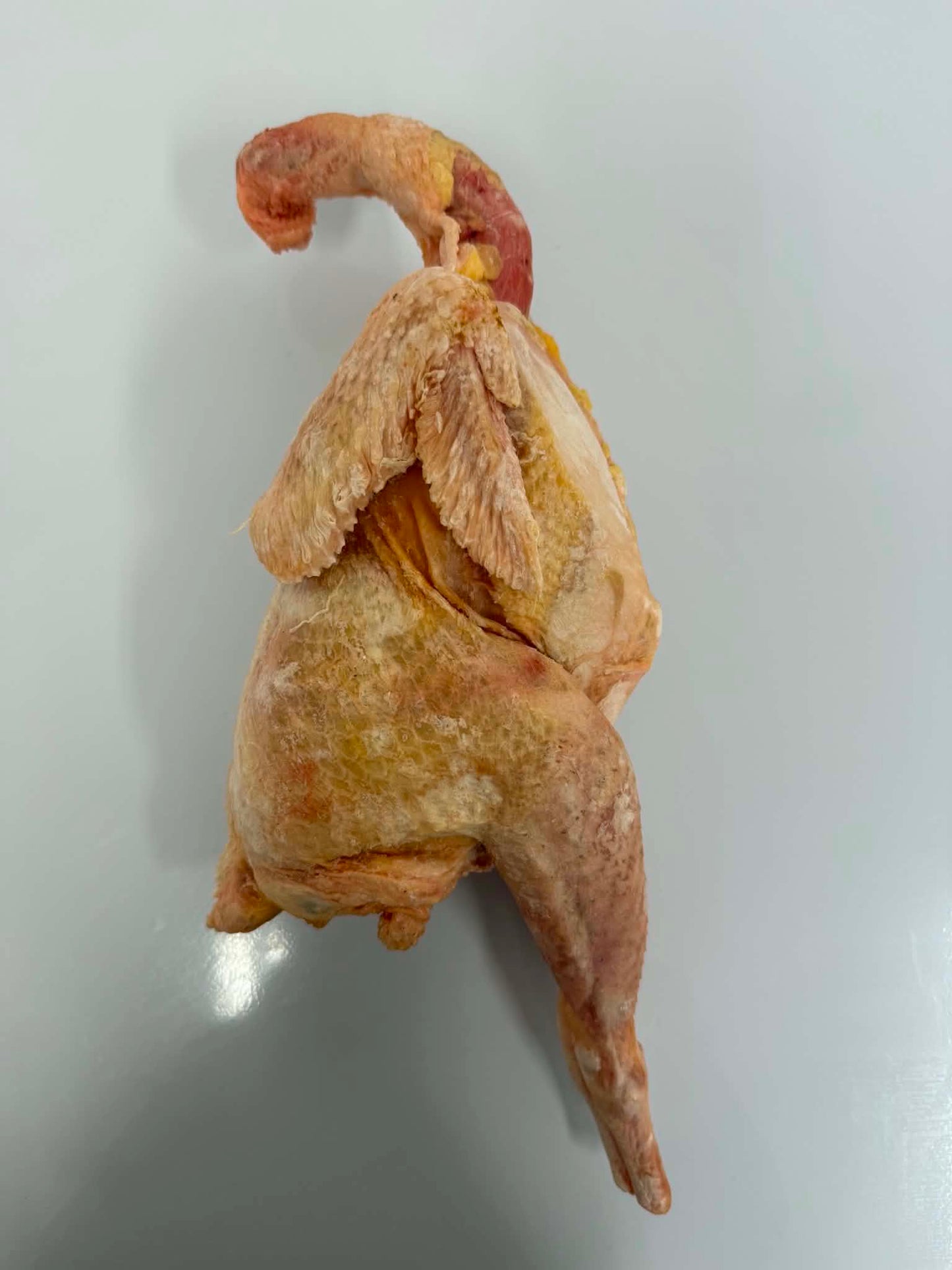 YI_硬い鶏肉_1kg